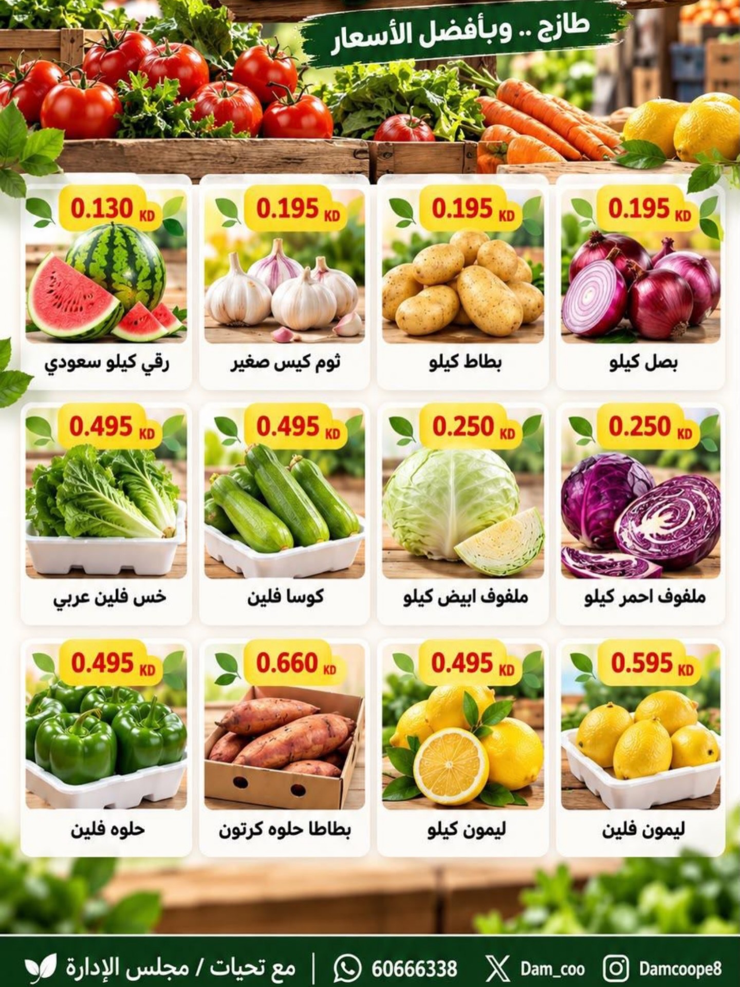 عروض فواكه وخضروات — صورة 2