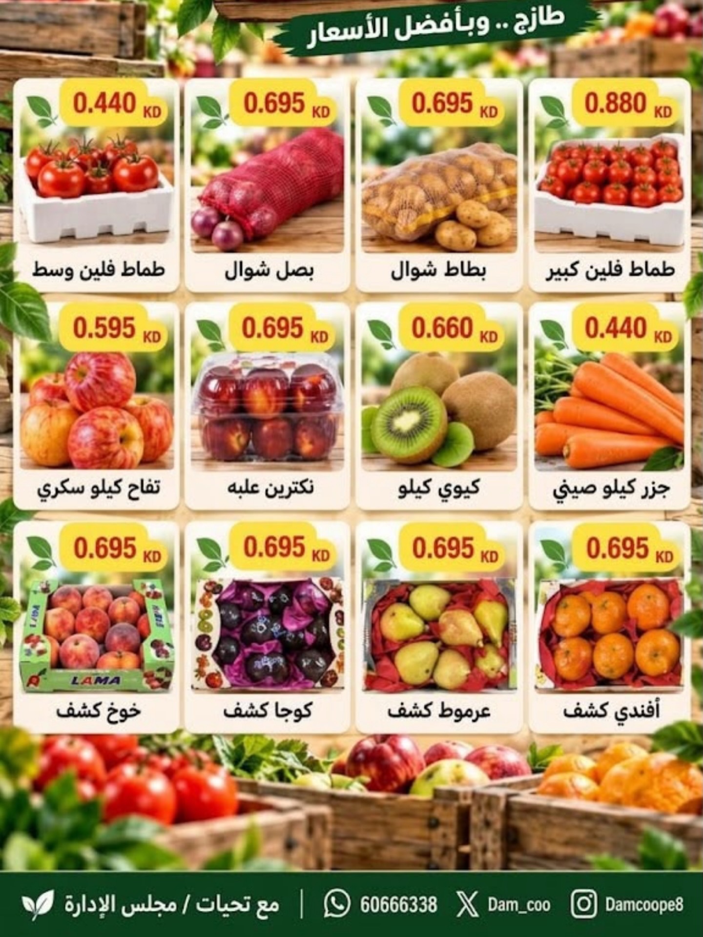 عروض فواكه وخضروات — صورة 3