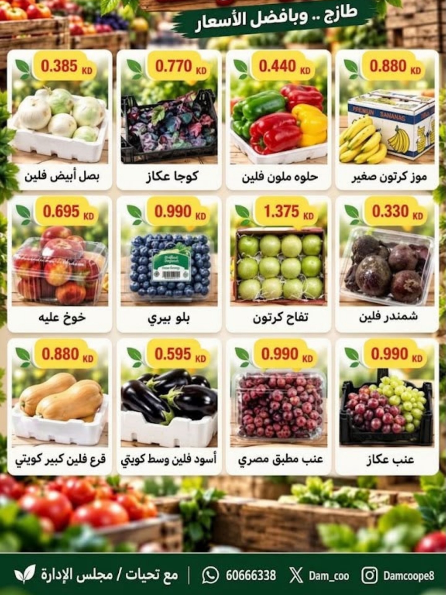 عروض فواكه وخضروات — صورة 4