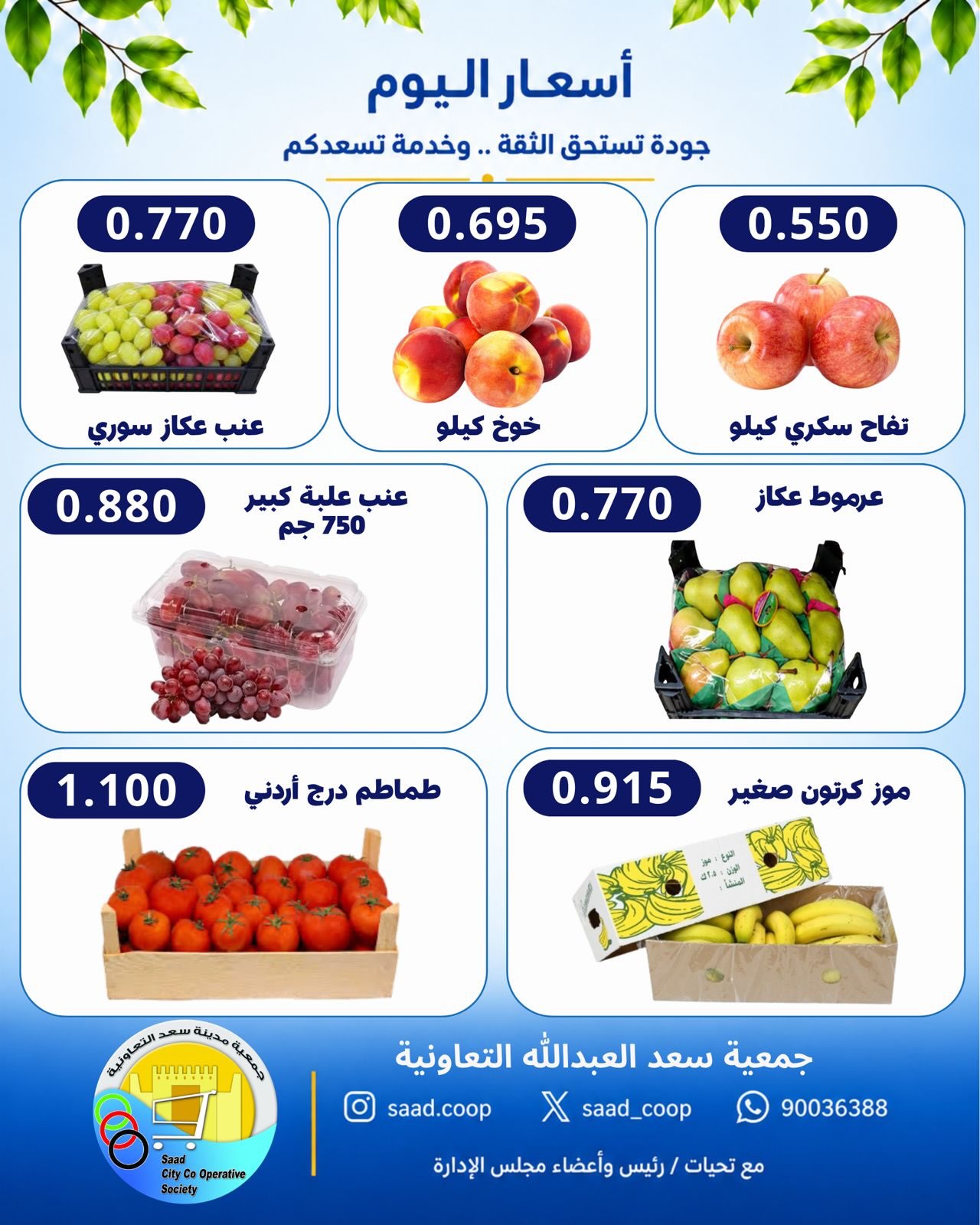 عروض فواكه وخضروات — صورة 3