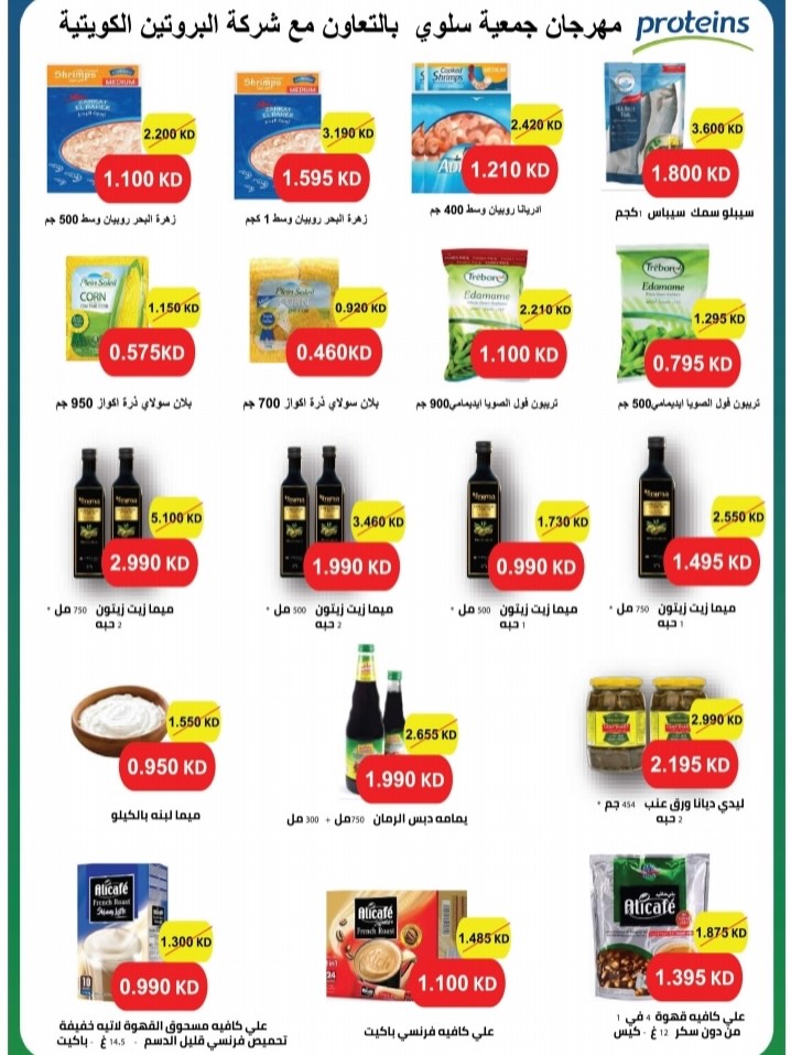 عروض أطعمة مجمدة — صورة 4